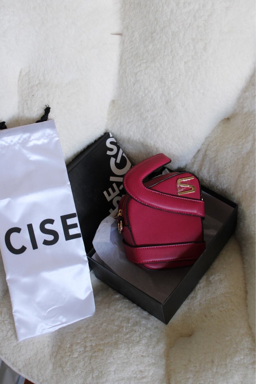 CISE Pink Mini Crossbody Bag | NWT | Statement Top Handle Purse | Fuchsia